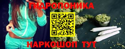 2c-b Камышлов