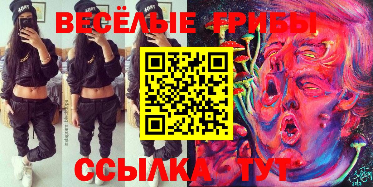 Камышин  Галлюциногенные грибы MAGIC MUSHROOMS  Вход с VPN 